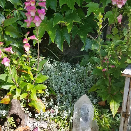 Appartamento Surfers Horizon Loft With Balcony & Panoramic Views Grindelwald