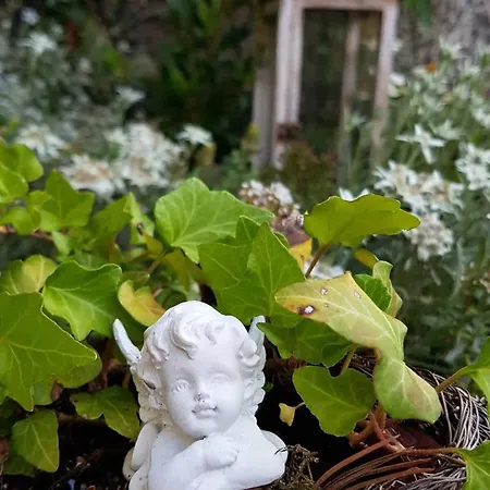 Surfers Horizon Loft With Balcony & Panoramic Views Διαμέρισμα