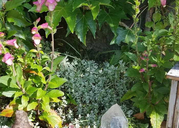 Appartamento Surfers Horizon Loft With Balcony & Panoramic Views Grindelwald